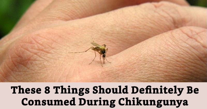 Chikungunya Food Diet