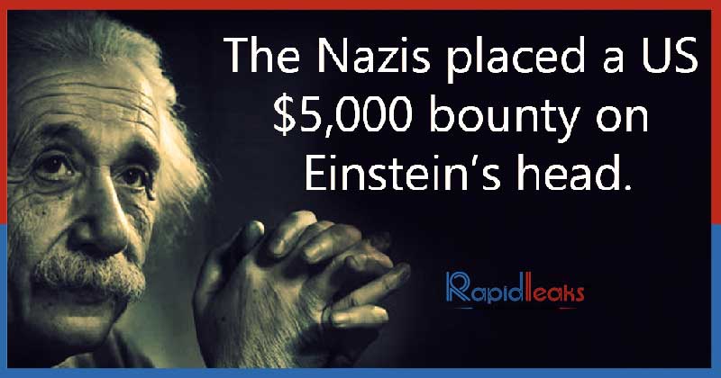 Albert Einstein Facts