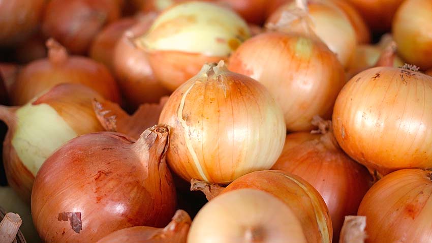 benefits of eating Onions