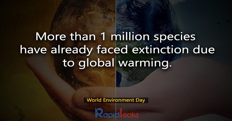 World Environment Day