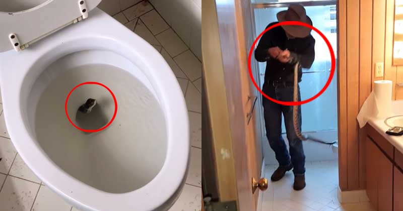 Your Worst Nightmare Just Came Alive At A Texas Home