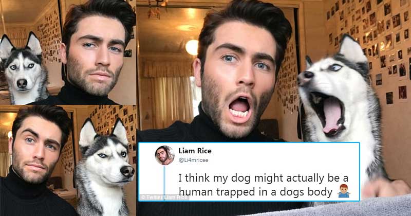 Here Are A Bunch Of Dog Owners, Twinning With Their Pets