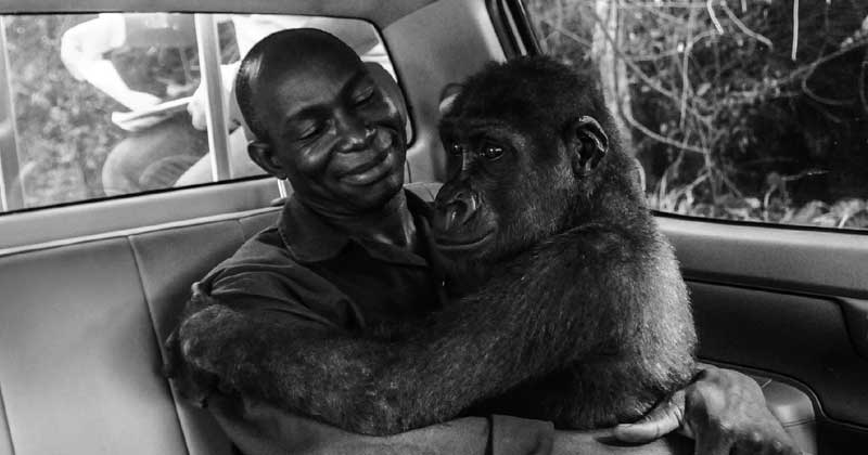 Wildlife Photograph of the year