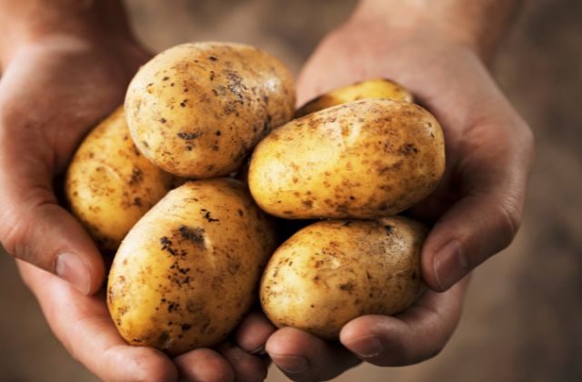 potatoes