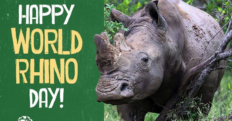 World Rhino Day