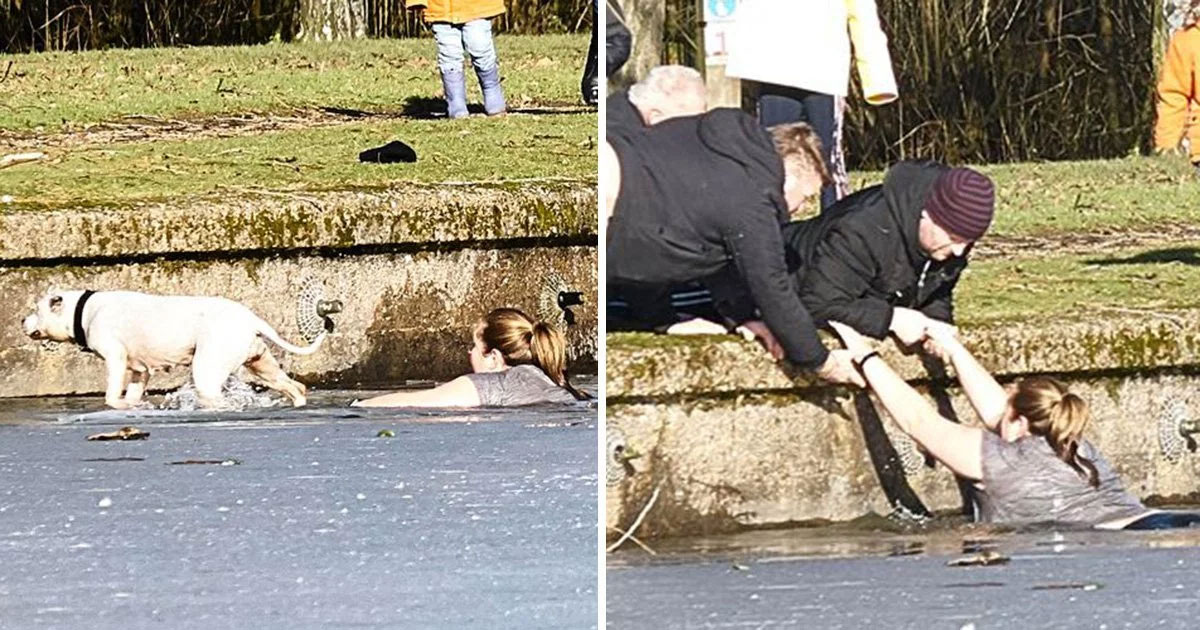 UK lady saves dog