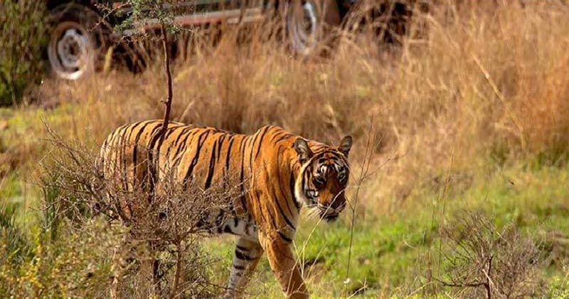 national parks in west bengal