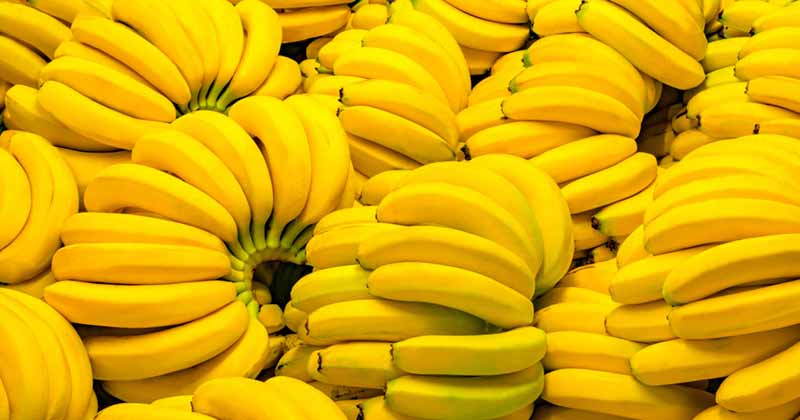 Bananas On An Empty Stomach