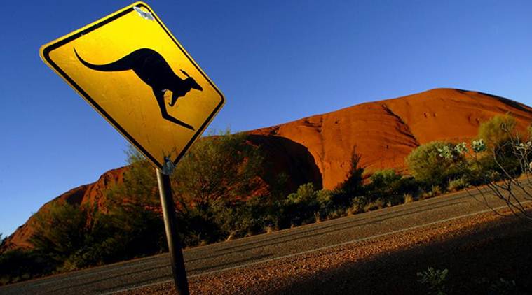 sanctions against kangaroo slaughter