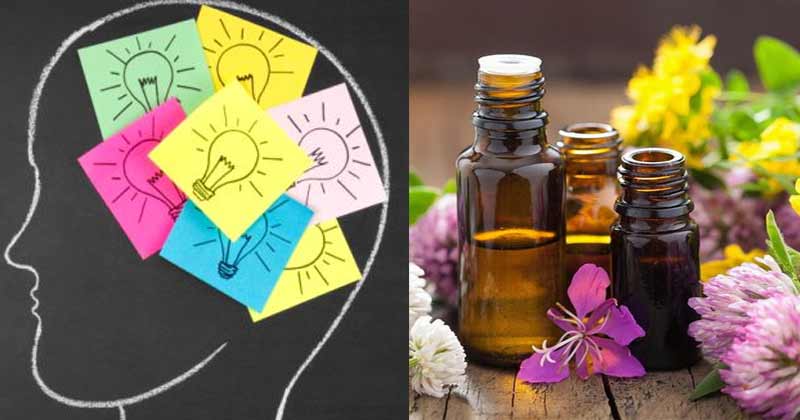 Essential Oils For Focus And Memory
