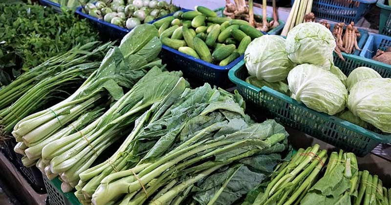 Vitamin b12 vegan sources