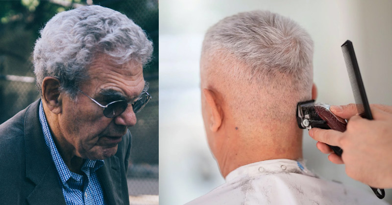 Why Do Hair Turn White