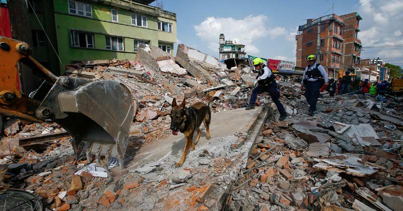 Do animals get an early warning about earthquakes