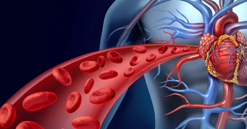 Do blood thinners make the blood thin