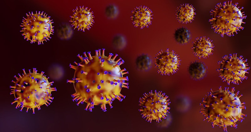 Why Viruses Are Successful