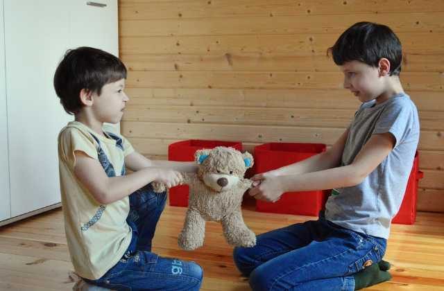 What Can Parents Do If Young Children Don't Like To Share?