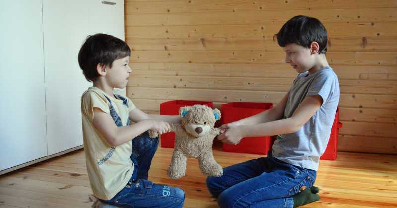 What Can Parents Do If Young Children Don't Like To Share?