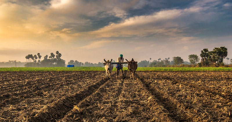 Farmer Sowing His Field | Indian Films on Farmers