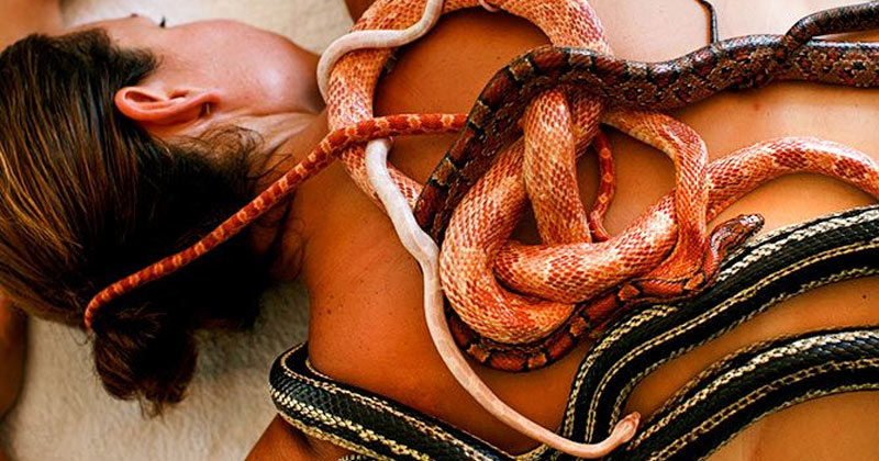 Snake Massage