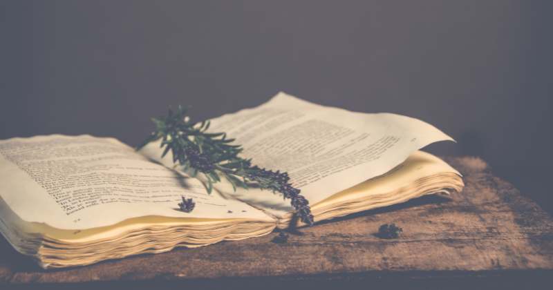 why paper turns yellow