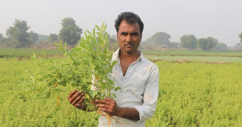 Indore Farmers