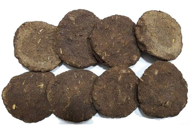 Cow Dung Cakes | Cow Dung Cake Found In Indian Traveller Bag In Washington