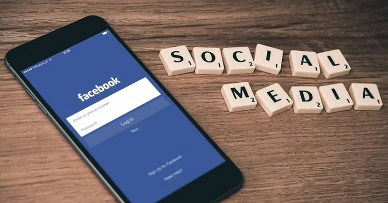 Bihar Man Dupes Foreign Woman 2.5 crores