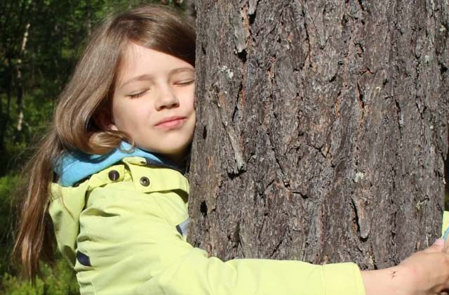 Tree hugging in Finland