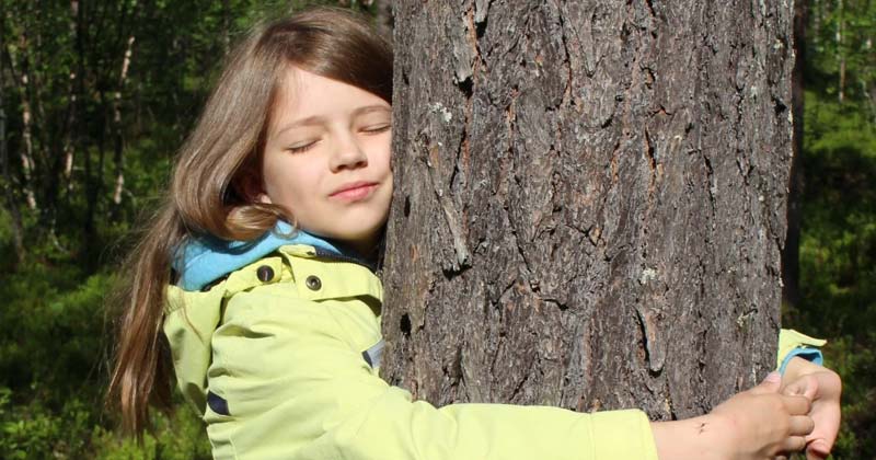 Tree hugging in Finland