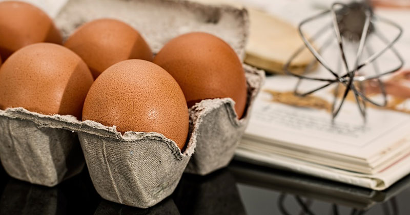 Nutrition Facts for Egg