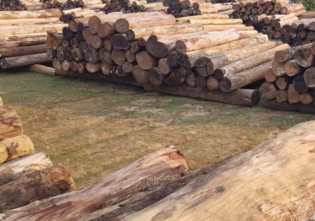 timber trading in Italy