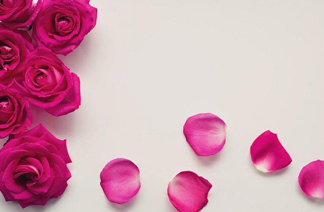 benefits of rose petals