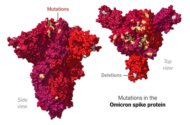 South Africa variant