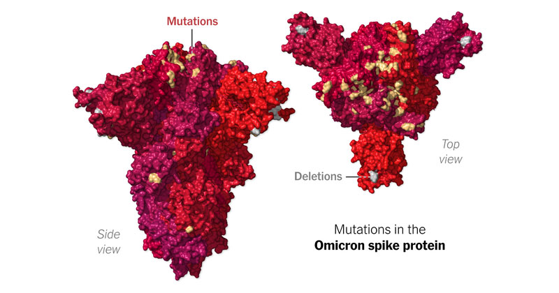 South Africa variant