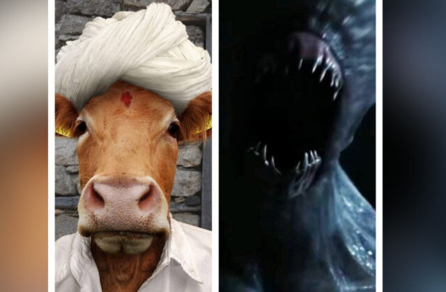 aliens impregnated a woman