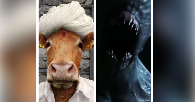 aliens impregnated a woman