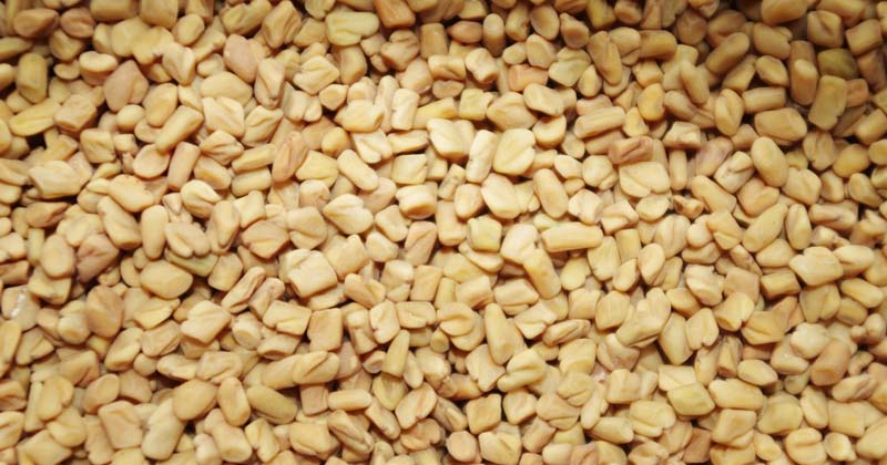 Benefits of Fenugreek