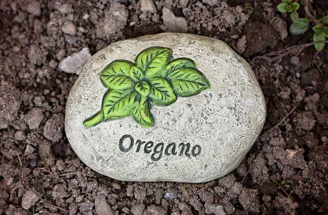 health benefits of the Oregano