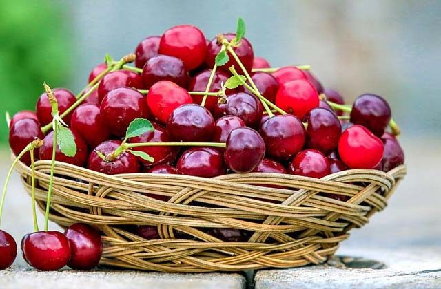 benefits of eating cherries