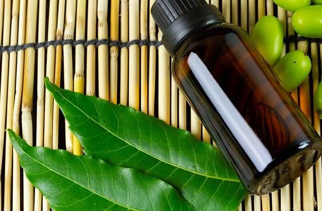 Neem oil benefits