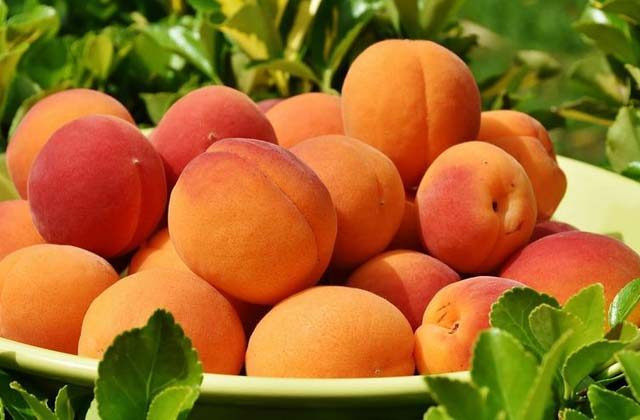 Health Benefits Of Peaches