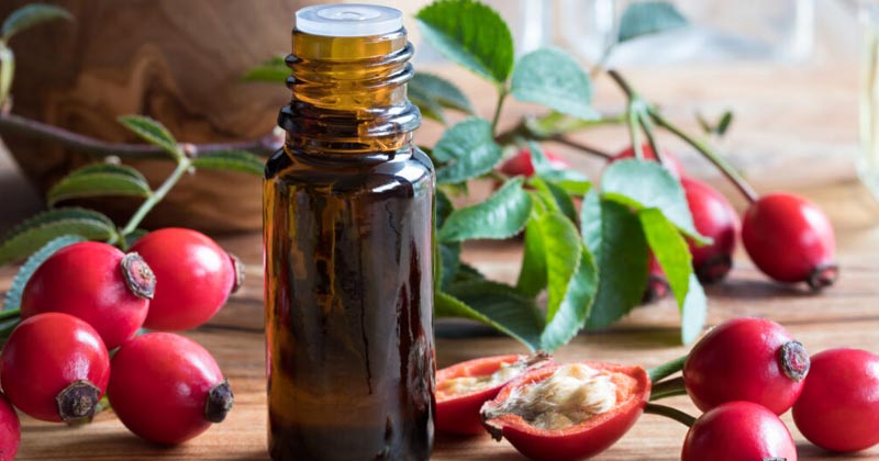 Benefits of Rosehip oil