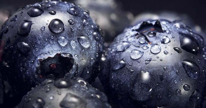 Health Benefits of Blueberries
