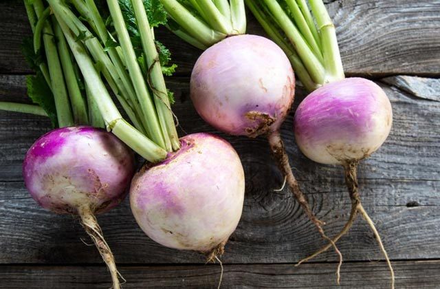 Benefits of Turnip