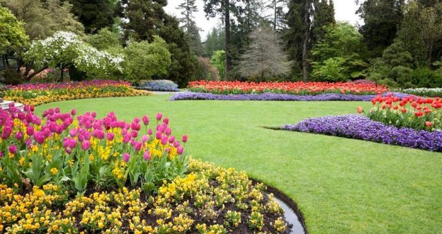 misconceptions about landscaping