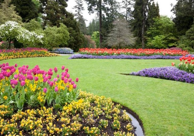 misconceptions about landscaping