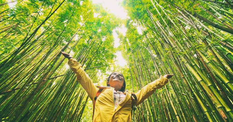 Eco-Friendly Adventures - Sustainable Travel