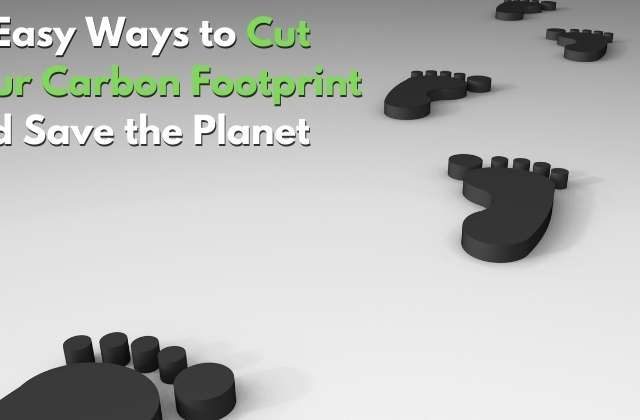 Ways to reduce Your Carbon Footprint