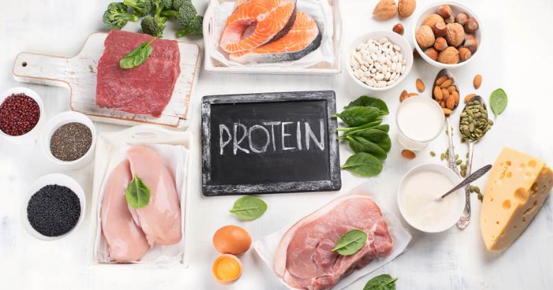Top High Protein Foods 