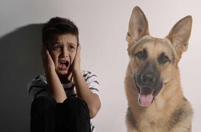 Cynophobia Unleashed: Conquering the Fear of Fido